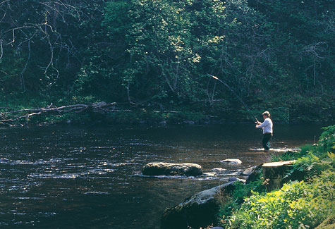 River Ericht, Blairgowrie, Perthshire