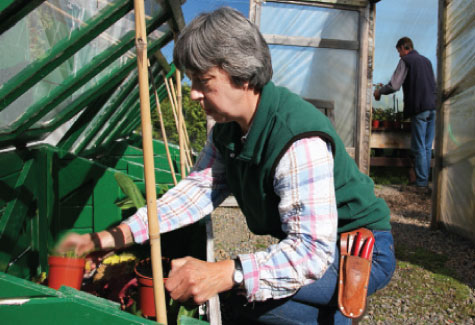 The Constant  gardeners